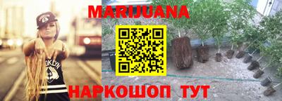 хмурый Новозыбков
