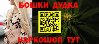 индика Обь
