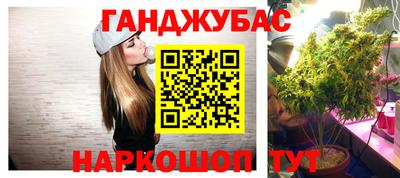 хмурый Новозыбков